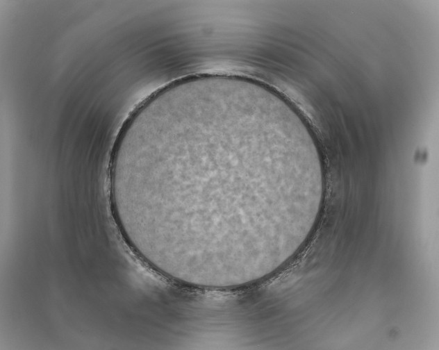 X0000090930848200708131452