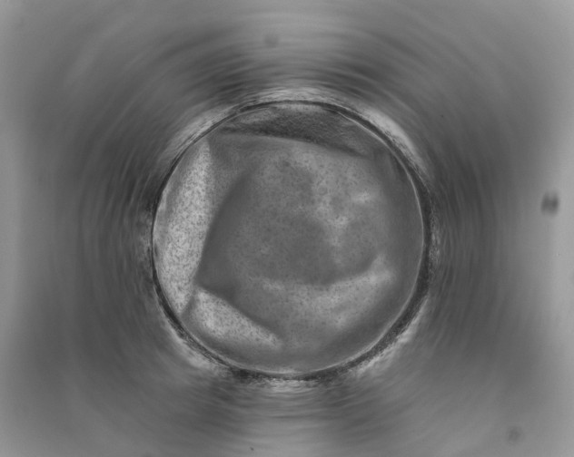 X0000090930849200708131452