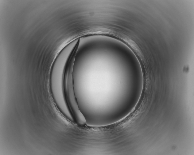 X0000090930850200708131452