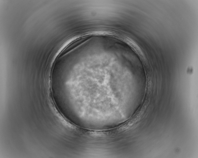 X0000090930852200708131452