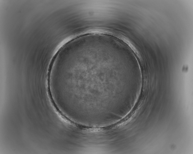 X0000090930853200708131452