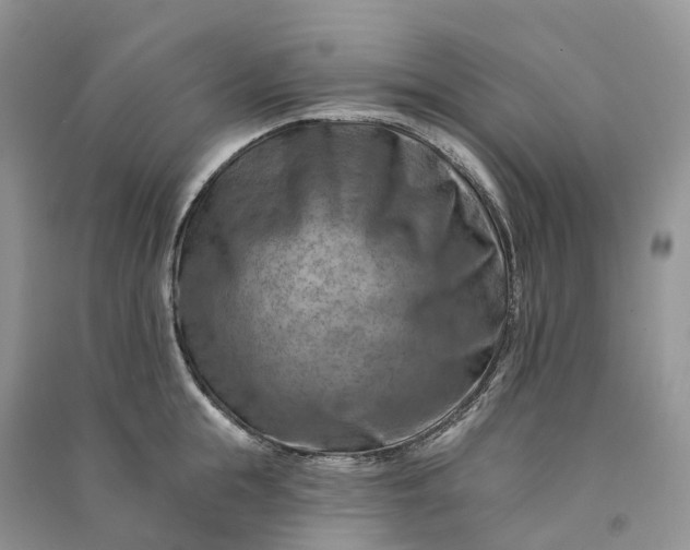 X0000090930855200708131452