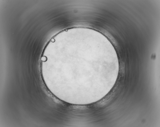 X0000090930856200708131452