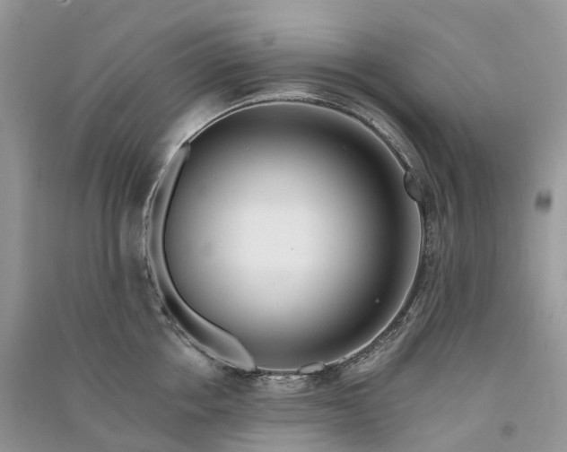 X0000090930858200708131452