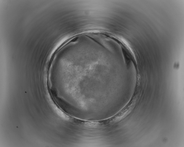 X0000090930859200708131452