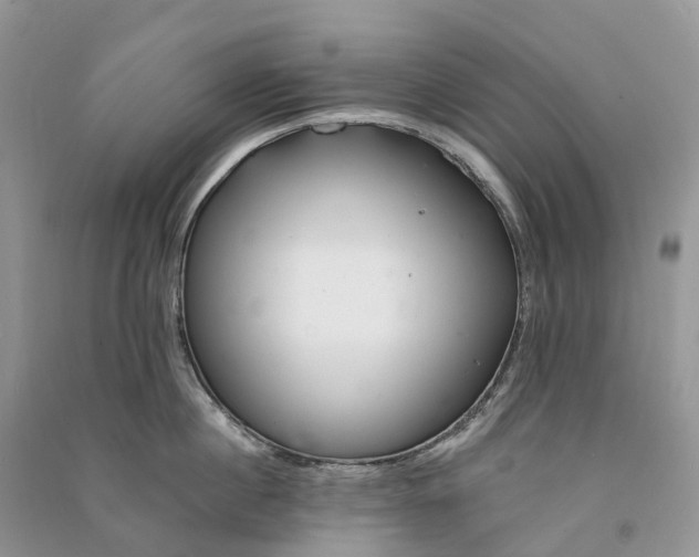 X0000090930860200708131452