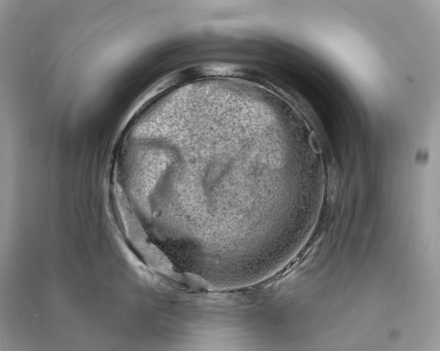 X0000090930861200708131452