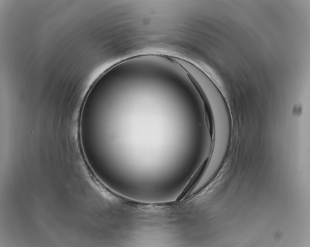 X0000090930862200708131452