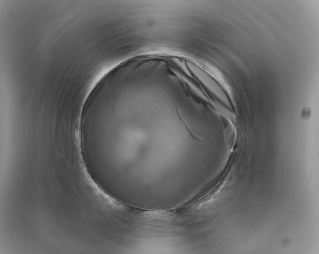 X0000090930863200708131452