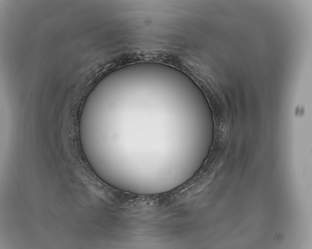 X0000090930865200708131452