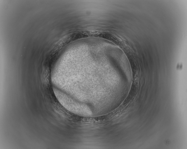 X0000090930866200708131452