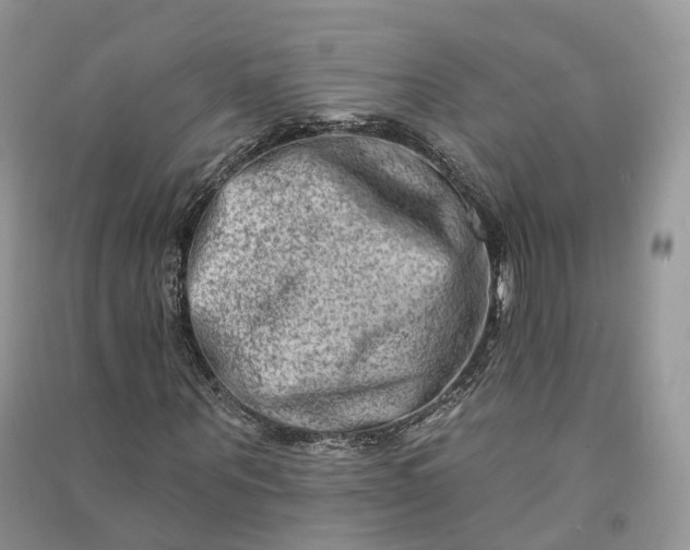 X0000090930867200708131452