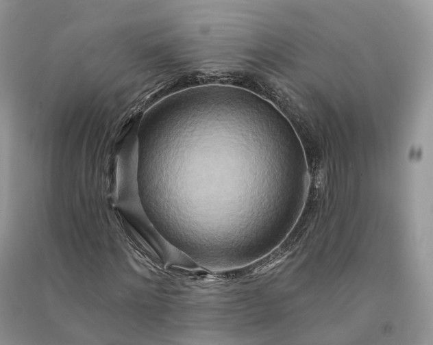 X0000090930868200708131452