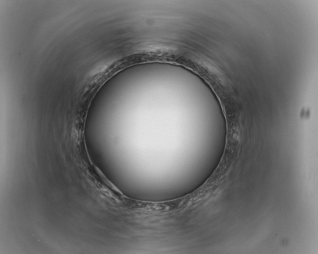 X0000090930869200708131452