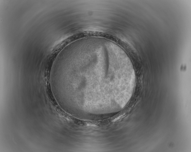 X0000090930870200708131452