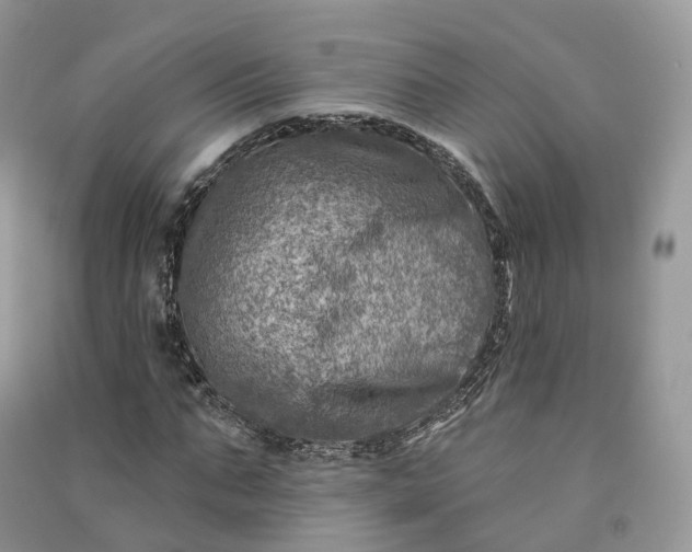 X0000090930871200708131452