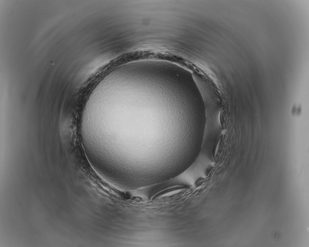 X0000090930872200708131452