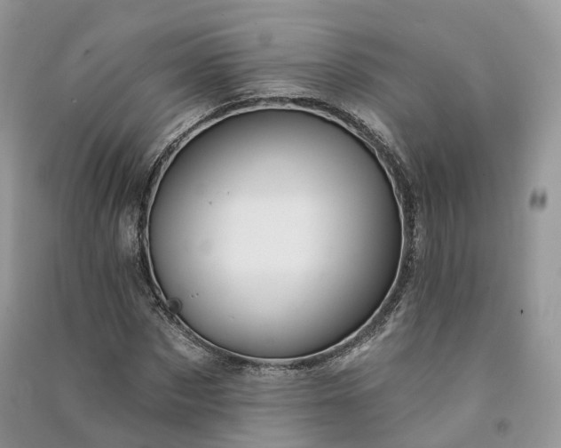 X0000090930873200708131451