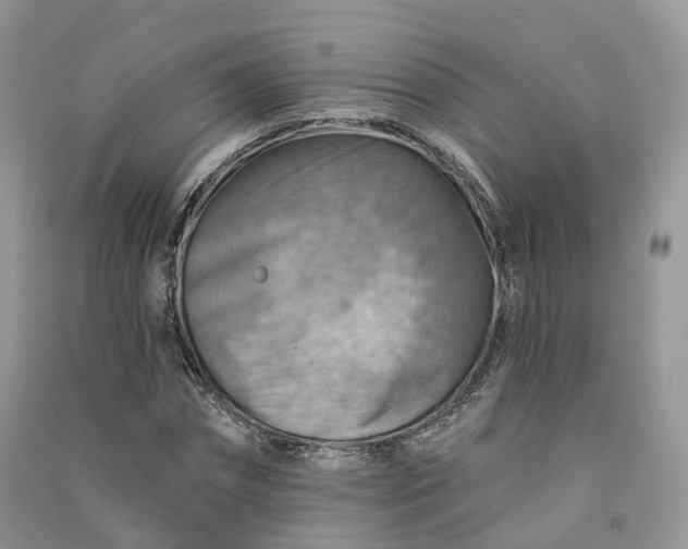 X0000090930874200708131451