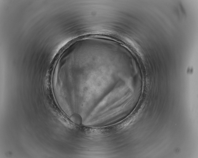 X0000090930875200708131451