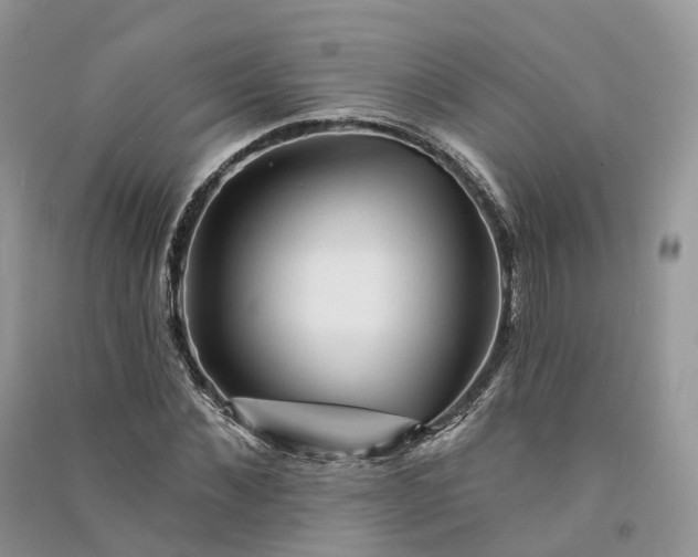 X0000090930876200708131451