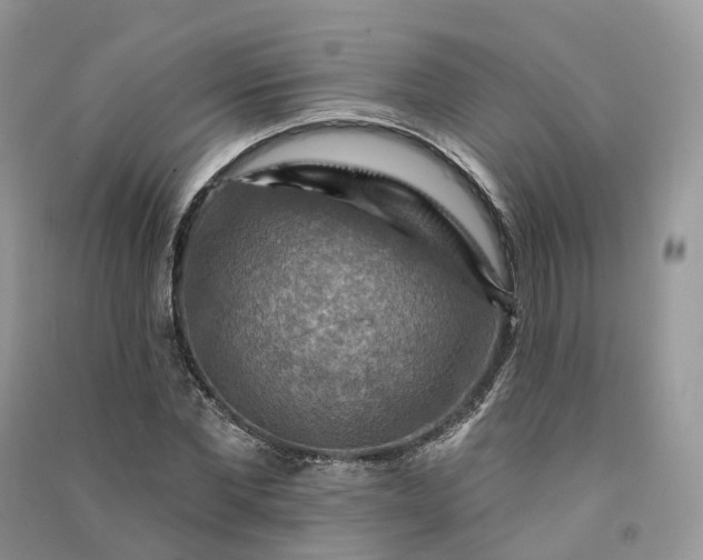 X0000090930877200708131451