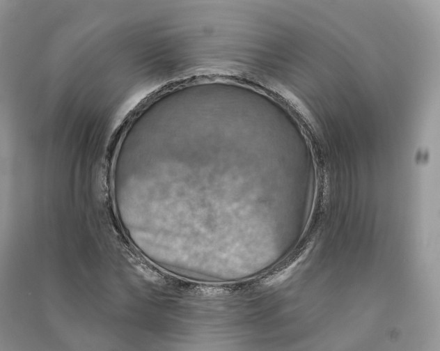 X0000090930878200708131451