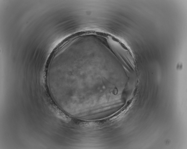 X0000090930879200708131451