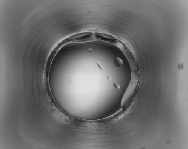 X0000090930880200708131451