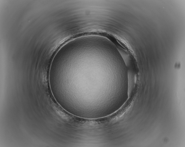 X0000090930881200708131451