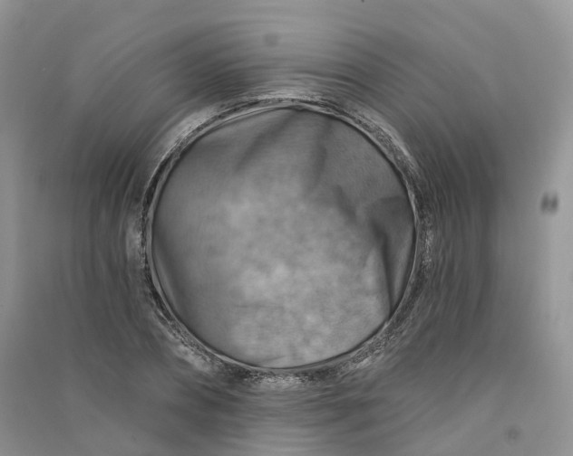 X0000090930882200708131451