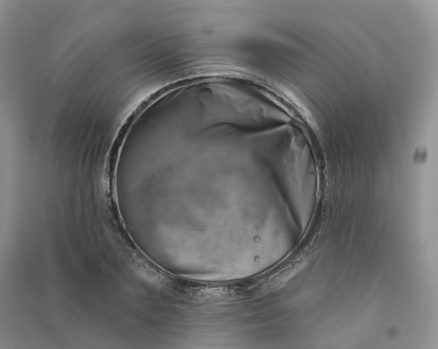 X0000090930883200708131451