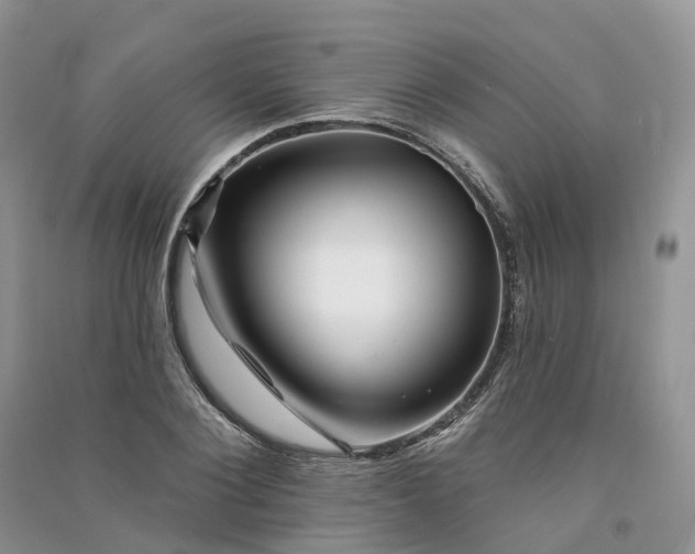 X0000090930884200708131451