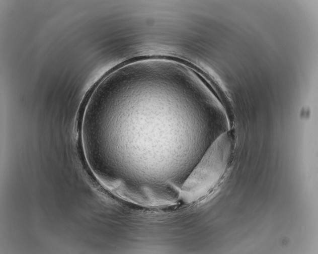 X0000090930885200708131451