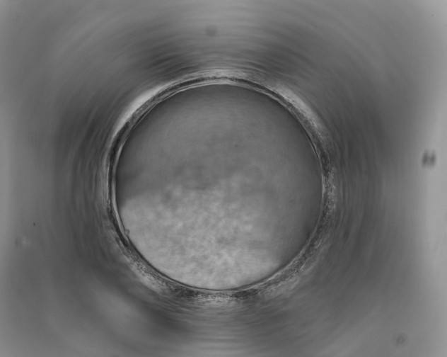 X0000090930886200708131451