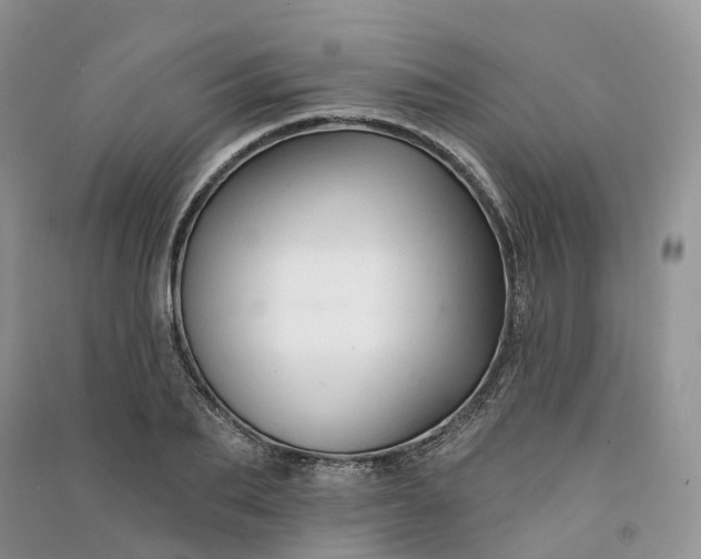 X0000090930887200708131451