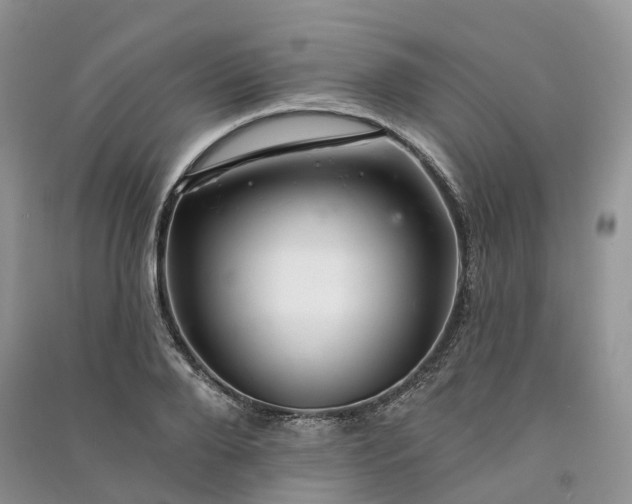 X0000090930888200708131451