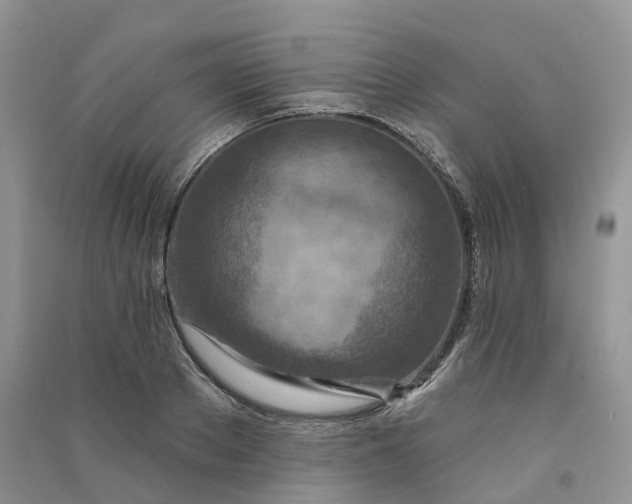 X0000090930889200708131451