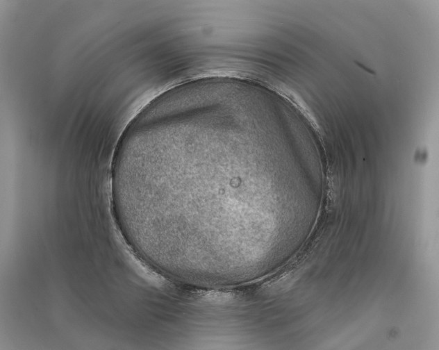 X0000090930890200708131451