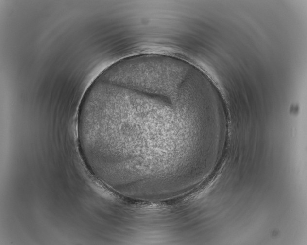 X0000090930891200708131451