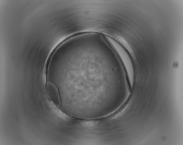 X0000090930892200708131451