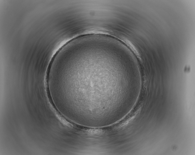 X0000090930893200708131451