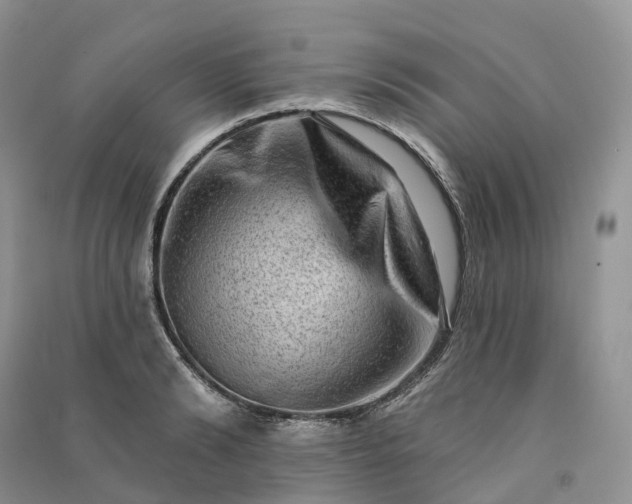 X0000090930894200708131451