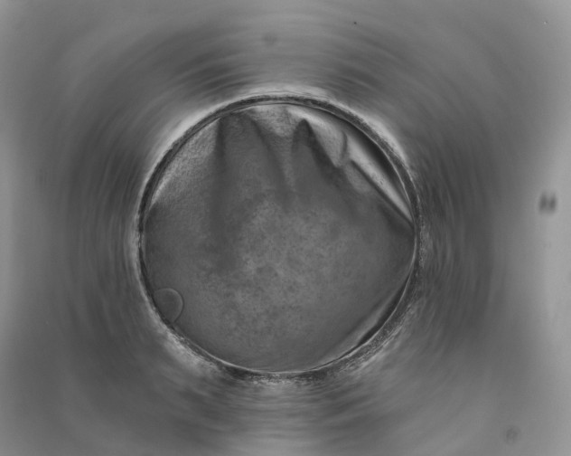 X0000090930895200708131451