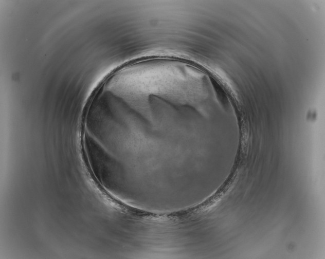 X0000090930896200708131451