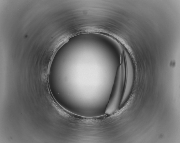 X0000090930897200708131451