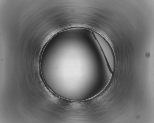 X0000090930898200708131451