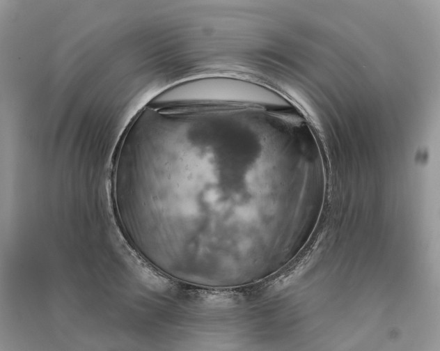 X0000090930899200708131451