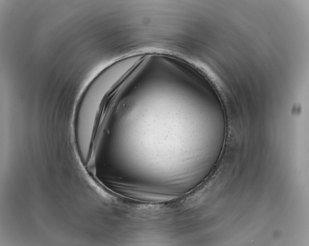 X0000090930902200708131451