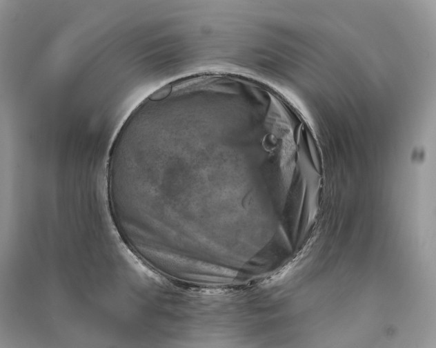 X0000090930903200708131451